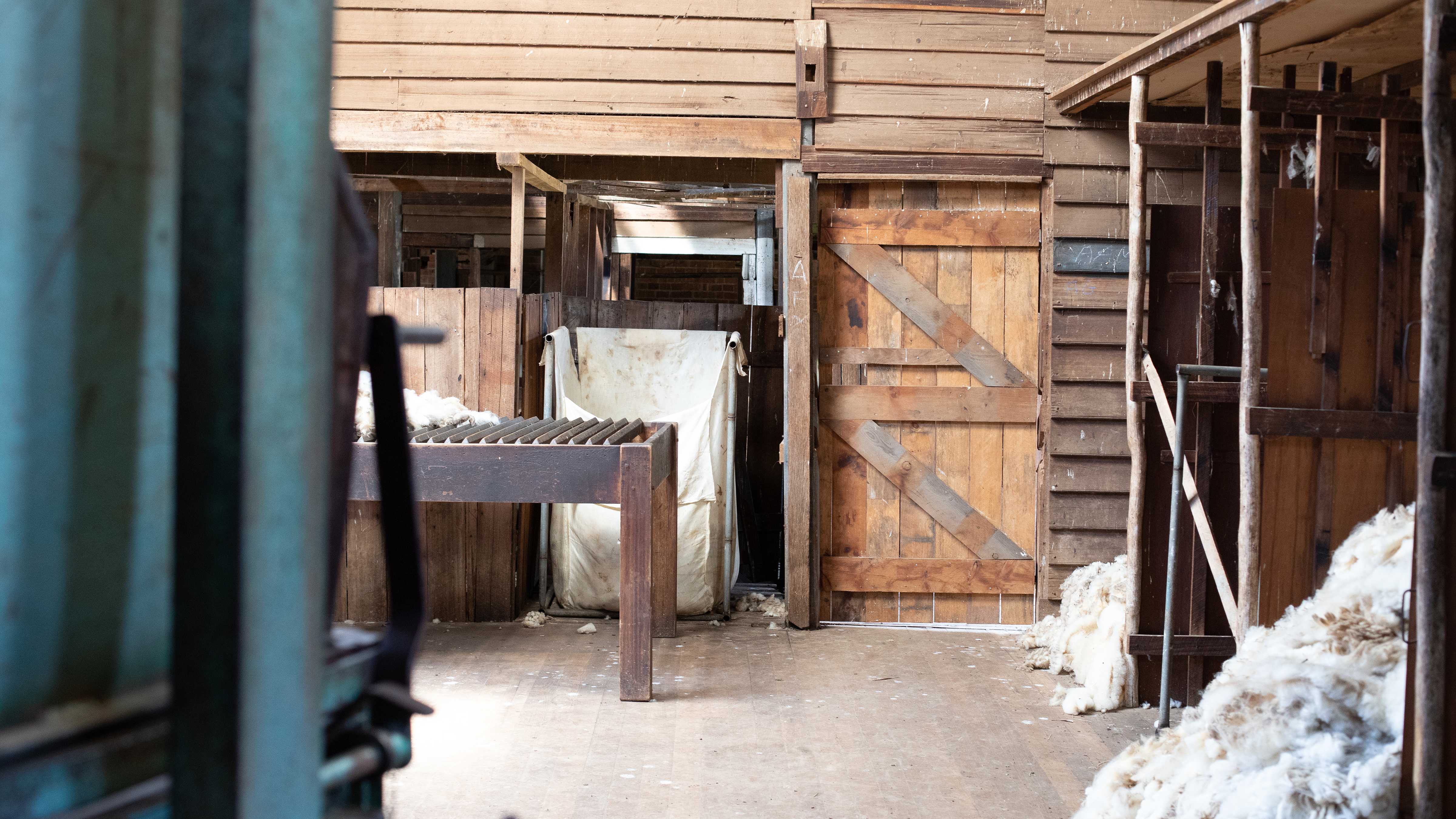 Inside the shearing shed a wool press stands to the left with a classing table in the background and a woolpack hangs in a stand. The timber door is closed and there is a pile of wool on the right hand side. Photo: Kieran Bradley.