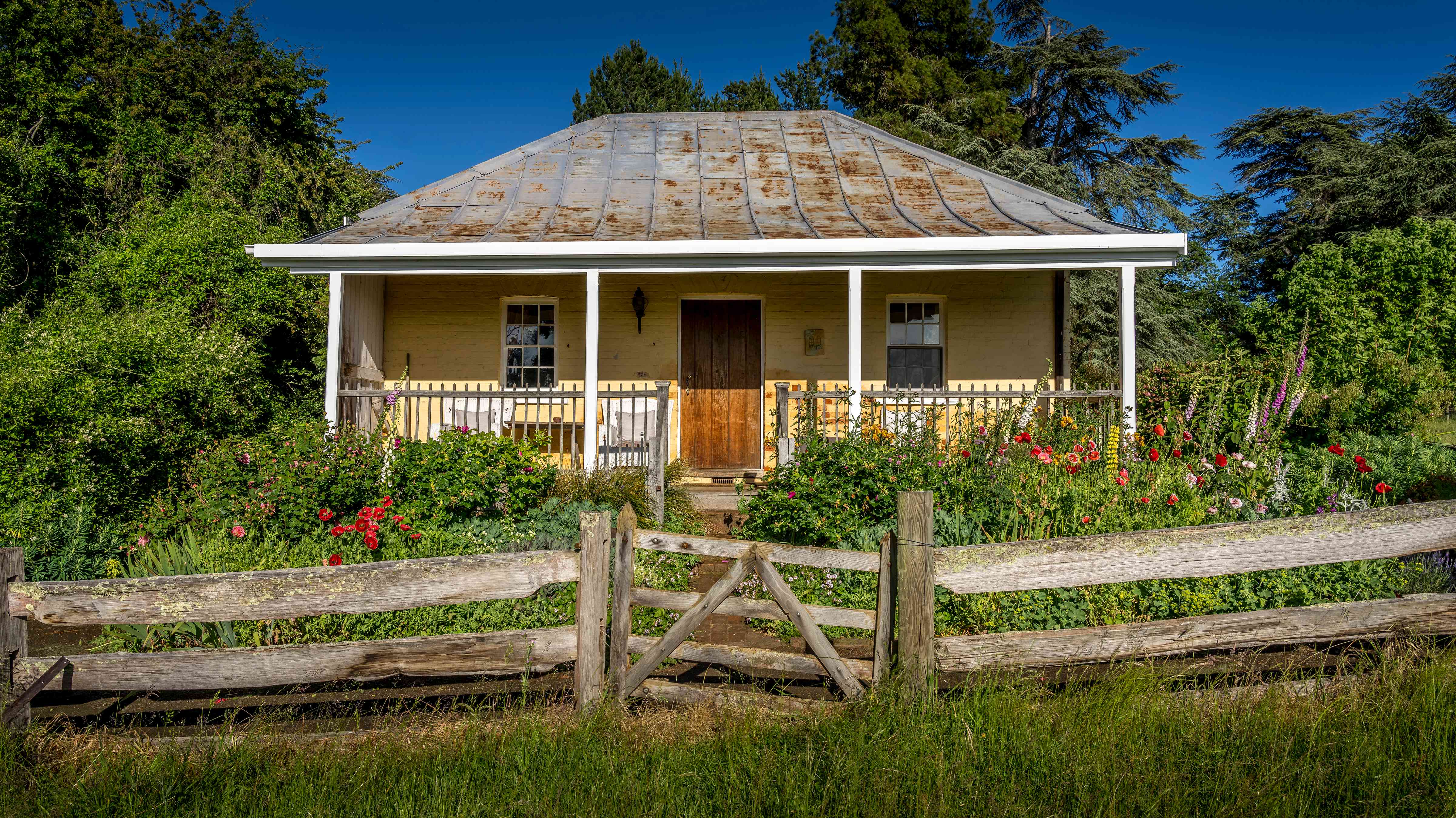 A post and rail wooden fence with a gate is in the foreground and a cottage garden with flowering roses, hollyhocks and iris stand in front of the cottage. A brick path and steps lead through the middle of the garden and up to the centre of the verandah which has white posts and a timber picket fence. The cottage walls are pale yellow painted brick and a timber wooden door stands between two white painted paned windows. The grey flat iron roof is showing some rusty patches. Large trees stand in the background of the image. Photo: Rob Burnett.