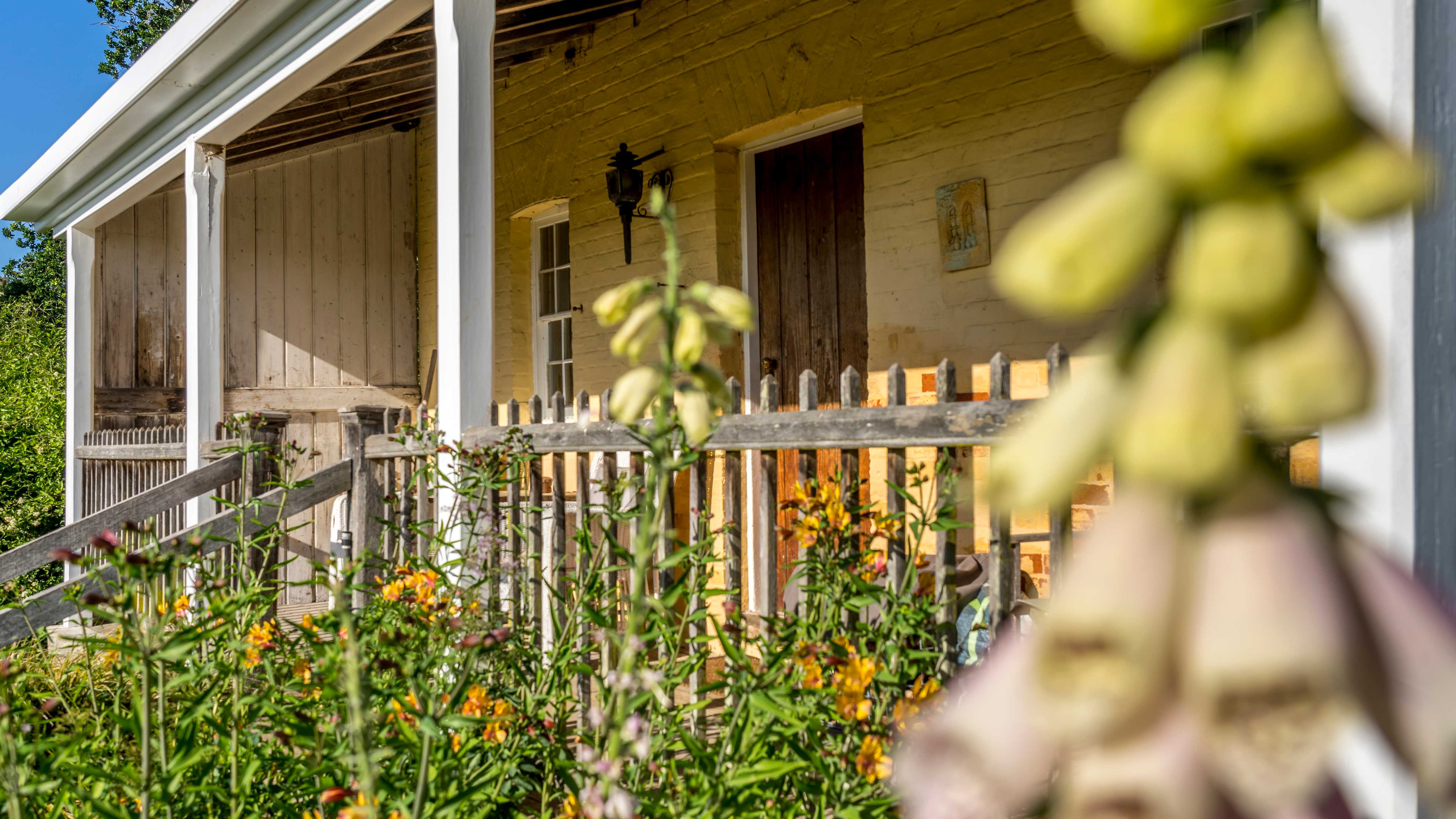 Yellow flowering hollyhocks and astilbe in the foreground with a timber picket fence with white verandah posts. Pale yellow painted bricks and a timber front door stand in the background. Photo: Rob Burnett.