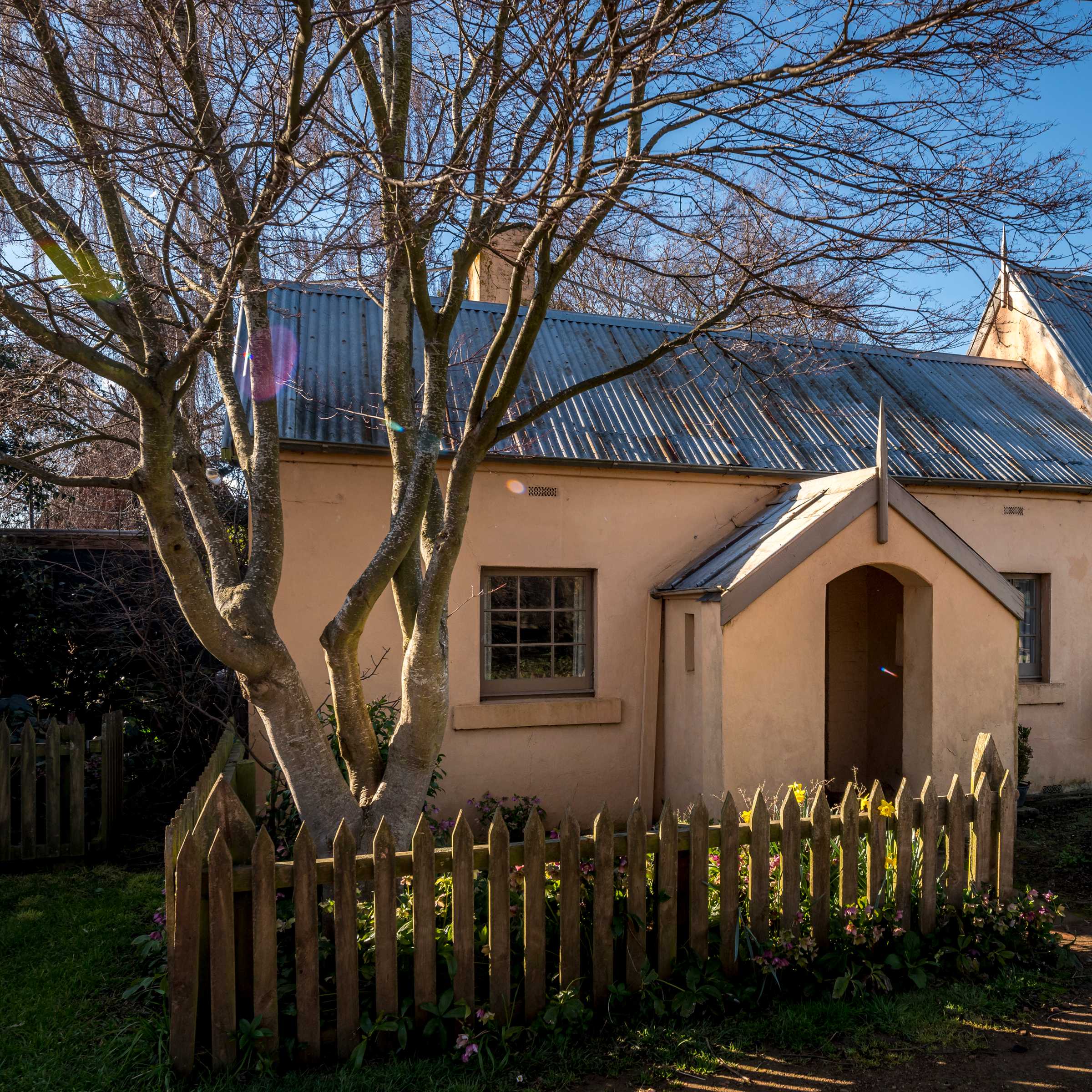 This image was taken in winter as the Japanese elm that stands in the garden does not have any leaves on it. The cottage is pale pink limewashed with a corrugated iron roof. The cottage has two sections, the left is a lower roofed cottage with a window on either side of the front porch and the right section has a steeper pitched roof with two windows. The picket fence runs along the front and the timber gate is open. A bright blue sky is in the background. Photo: Rob Burnett.