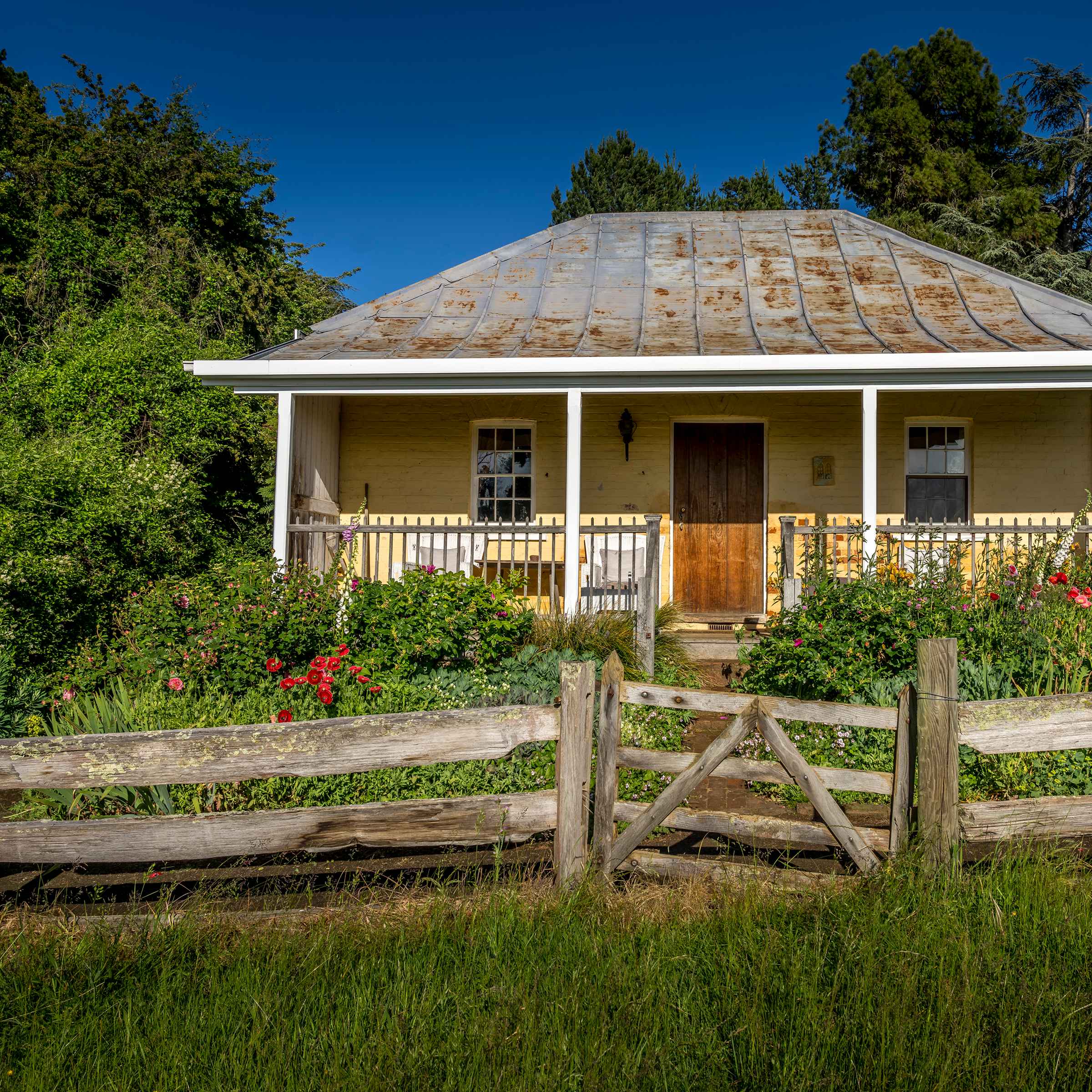 A post and rail wooden fence with a gate is in the foreground and a cottage garden with flowering roses, hollyhocks and iris stand in front of the cottage. A brick path and steps lead through the middle of the garden and up to the centre of the verandah which has white posts and a timber picket fence. The cottage walls are pale yellow painted brick and a timber wooden door stands between two white painted paned windows. The grey flat iron roof is showing some rusty patches. Large trees stand in the background of the image. Photo: Rob Burnett.