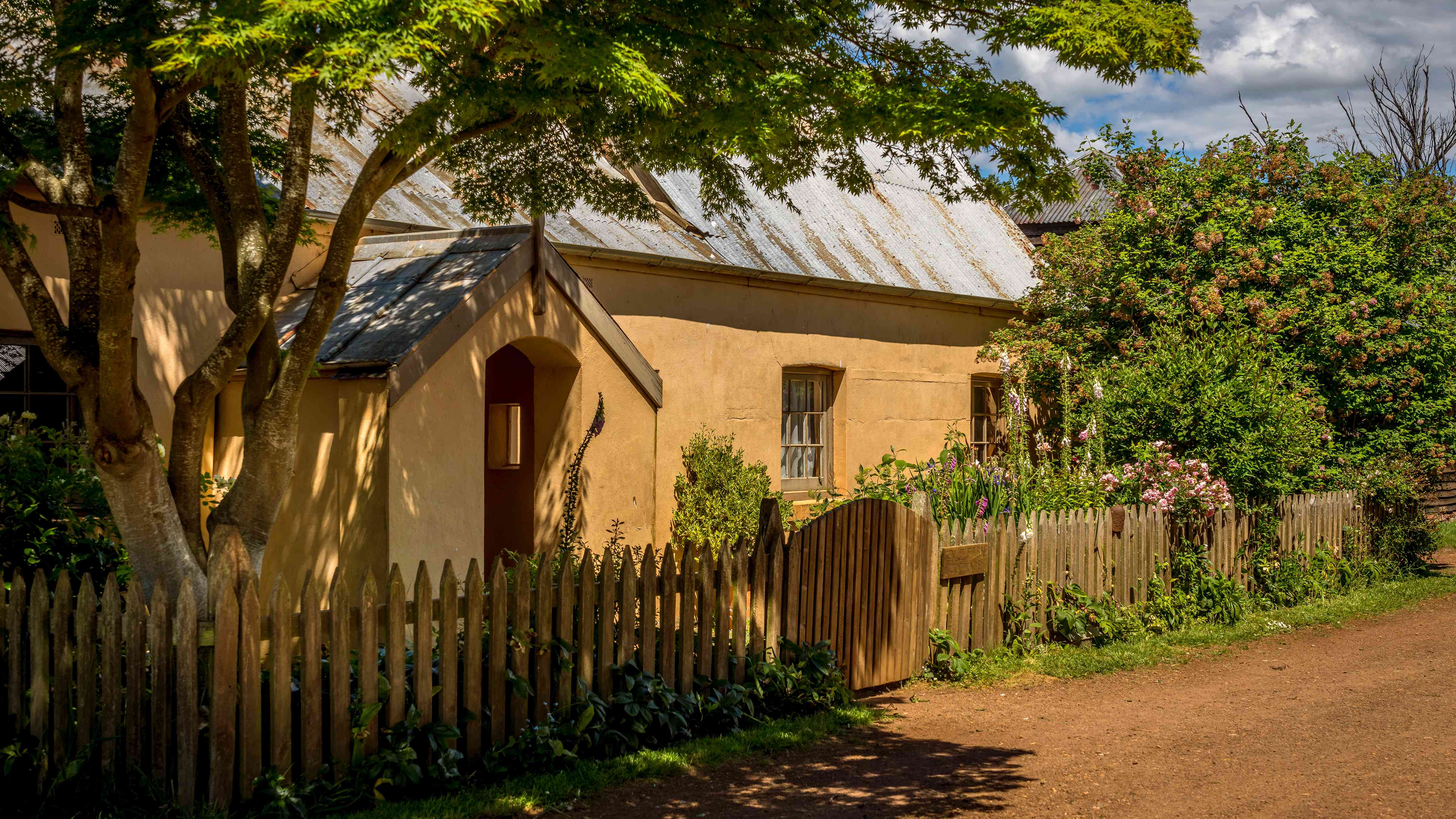 A Japanese maple tree stands to the left in the foreground and a timber picket fence with gate encloses a cottage garden with pink flowering hollyhocks. The cottage has a porch and two windows and pale pink limewashed walls with a corrugated iron roof. A large green leafed bush is in the background on the right. Photo: Rob Burnett.