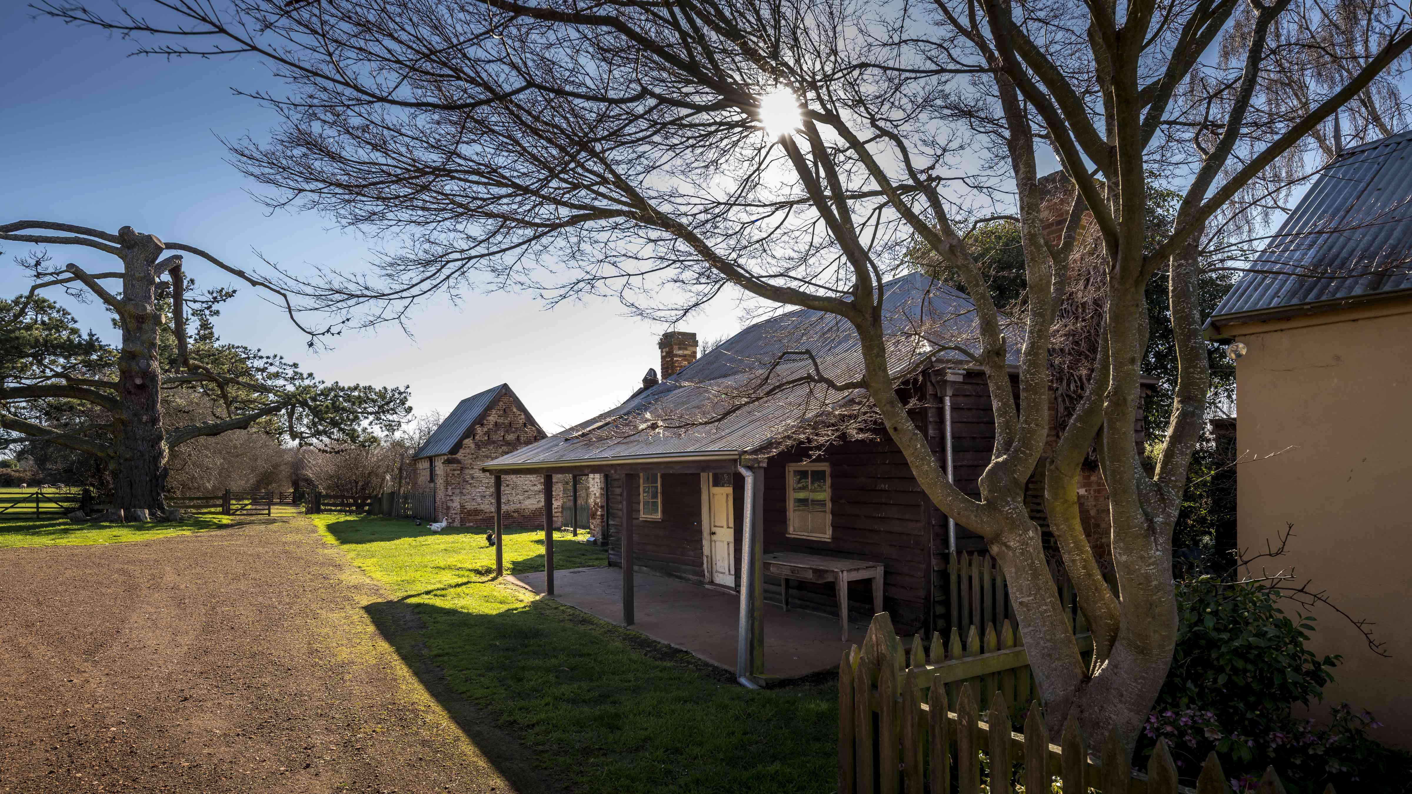 The Farm Village streetscape. A Japanese Elm frames William Archer&rsquo;s original cottage in the foreground with weatherboard walls and a corrugated iron roof which covers the timber shingles. The brick poultry shed in the background features pilisters, pigeon roosts and Morwood and Rogers, zinc coated tin, roof tiles. Photo: Rob Burnett.