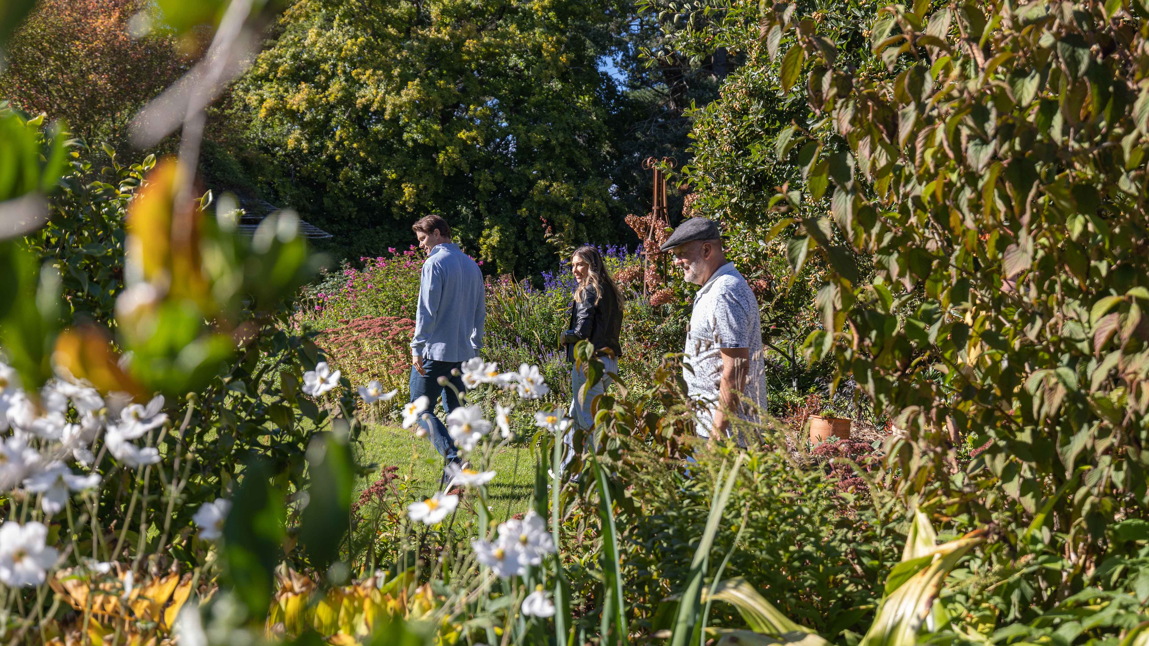 Three people wander the colourful gardens with white Japanese anemones in the foreground. Photo: Kate von Stieglitz / Tourism Australia.
