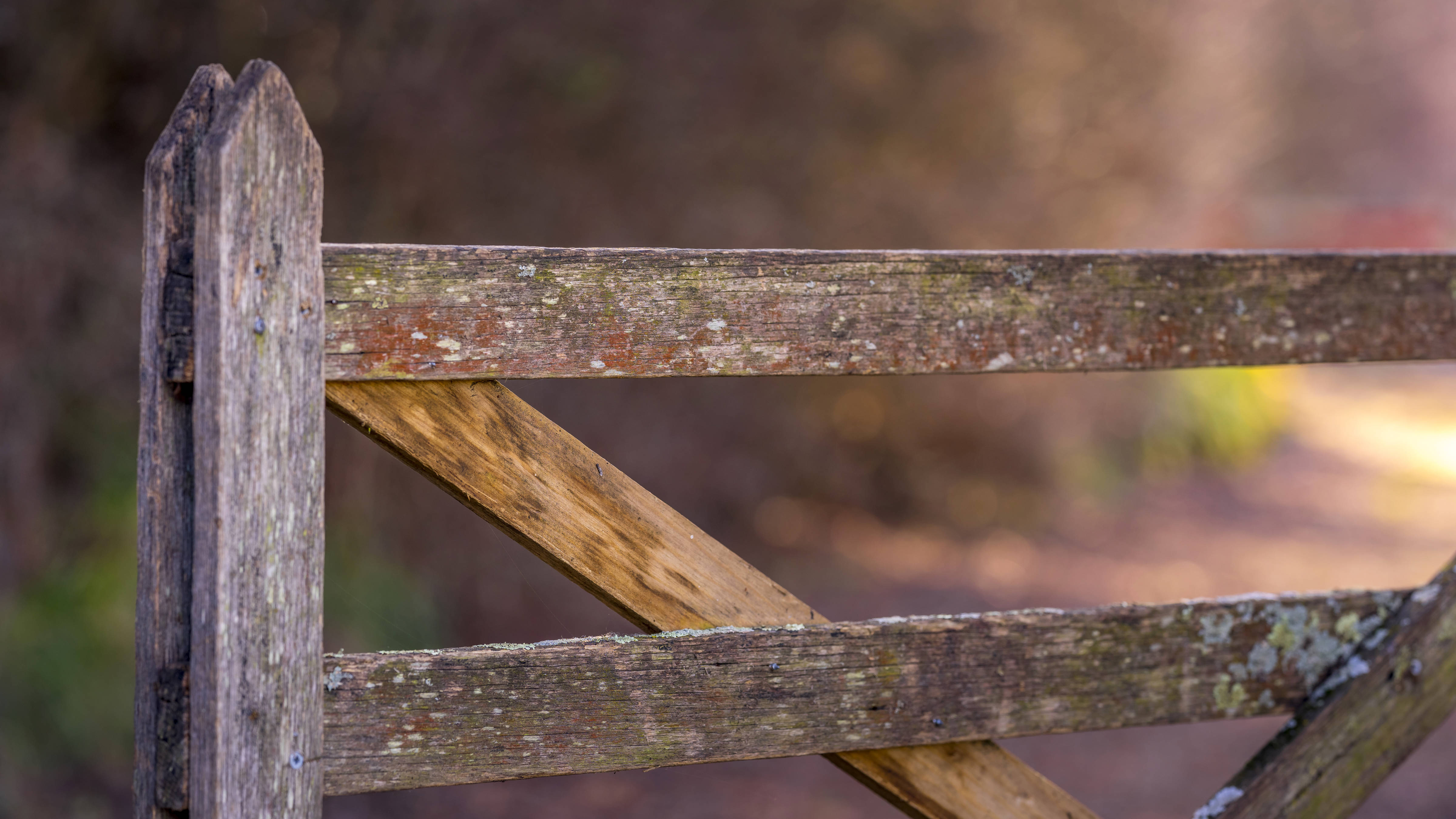 Handmade timber gate. Photo: Rob Burnett.