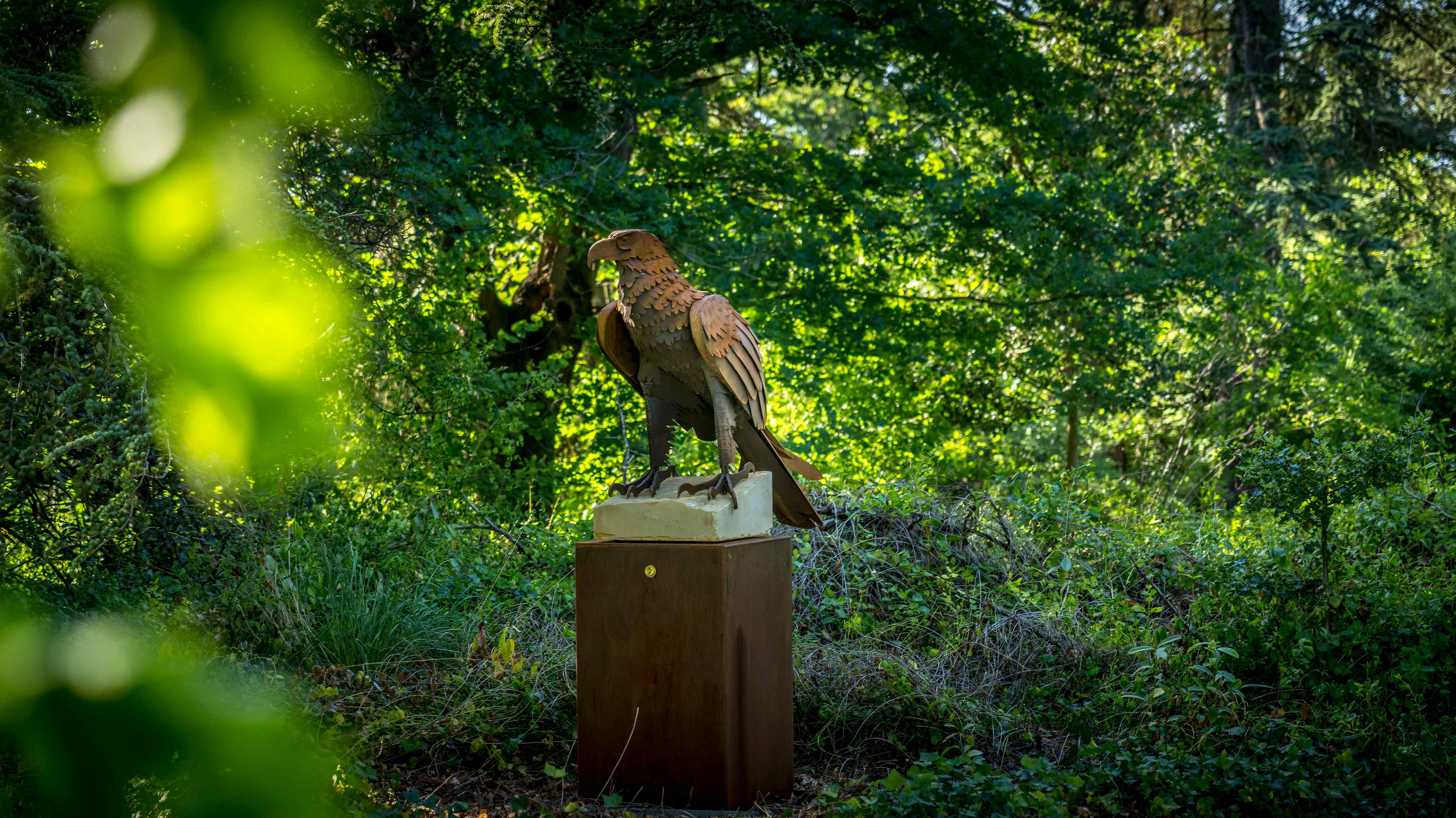 A Wedge Tailed Eagle steel sculpture stands on a sandstone and steel plinth under the branches of the Cedar of Lebanon. Photo: Rob Burnett.