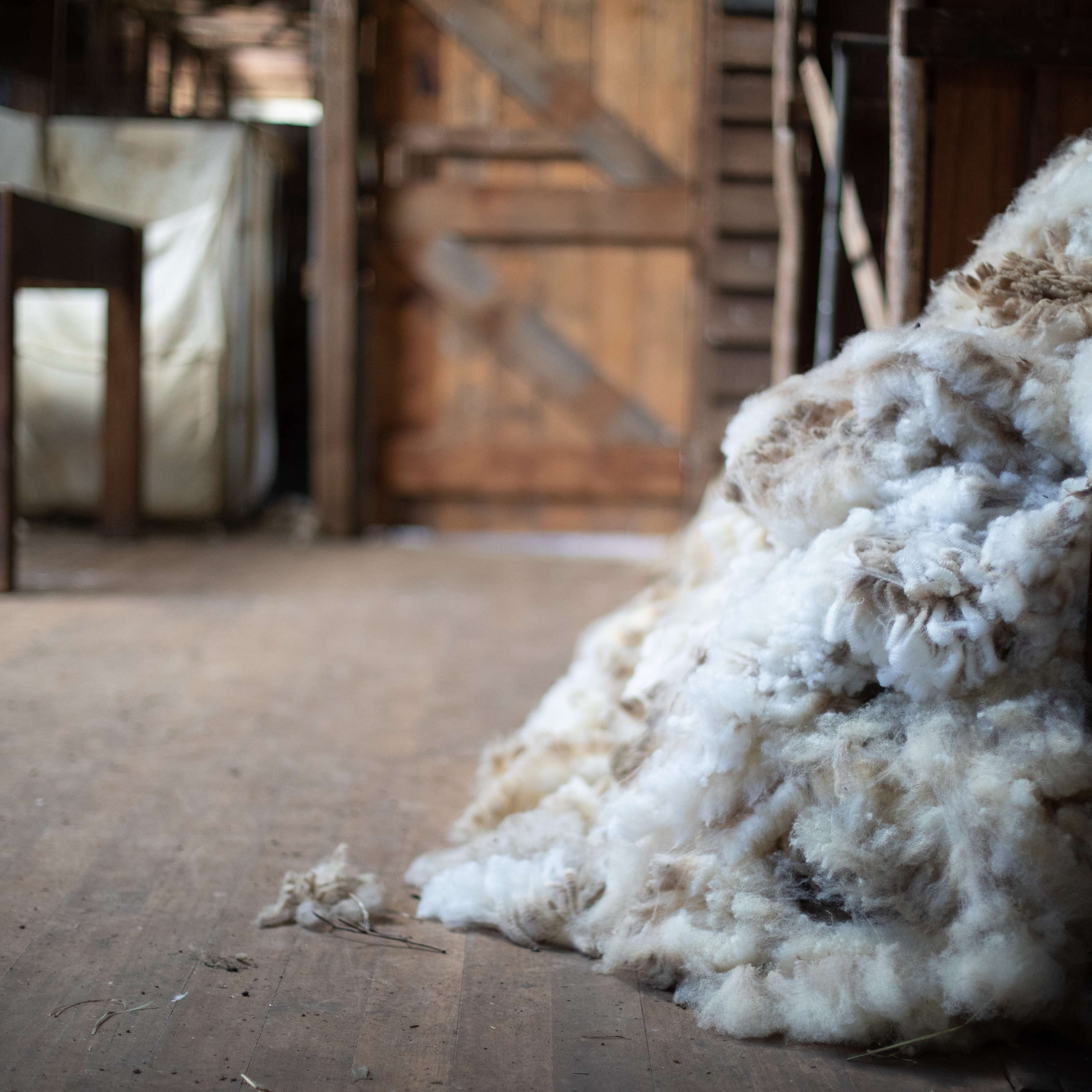 A timber floored room with a pile of raw wool in the foreground and a timber classing table in the background. Photo: Kieran Bradley.