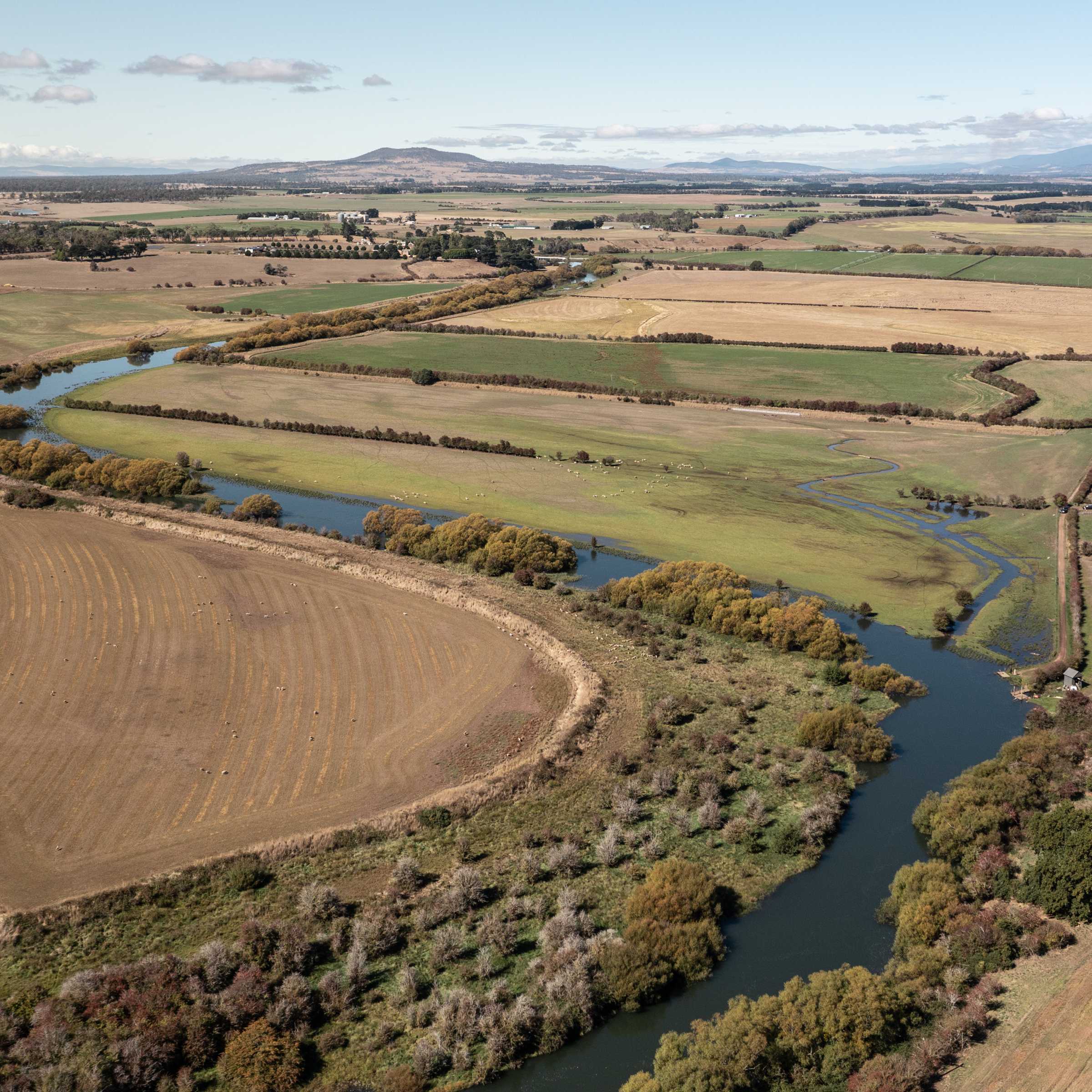 Aerial shot of Brickendon fields on the left of the Macquarie River and further cultivated farmland on the right of the river. River banks are lined with willow trees and tussocks. Photo: Kate von Stieglitz / Tourism Australia.