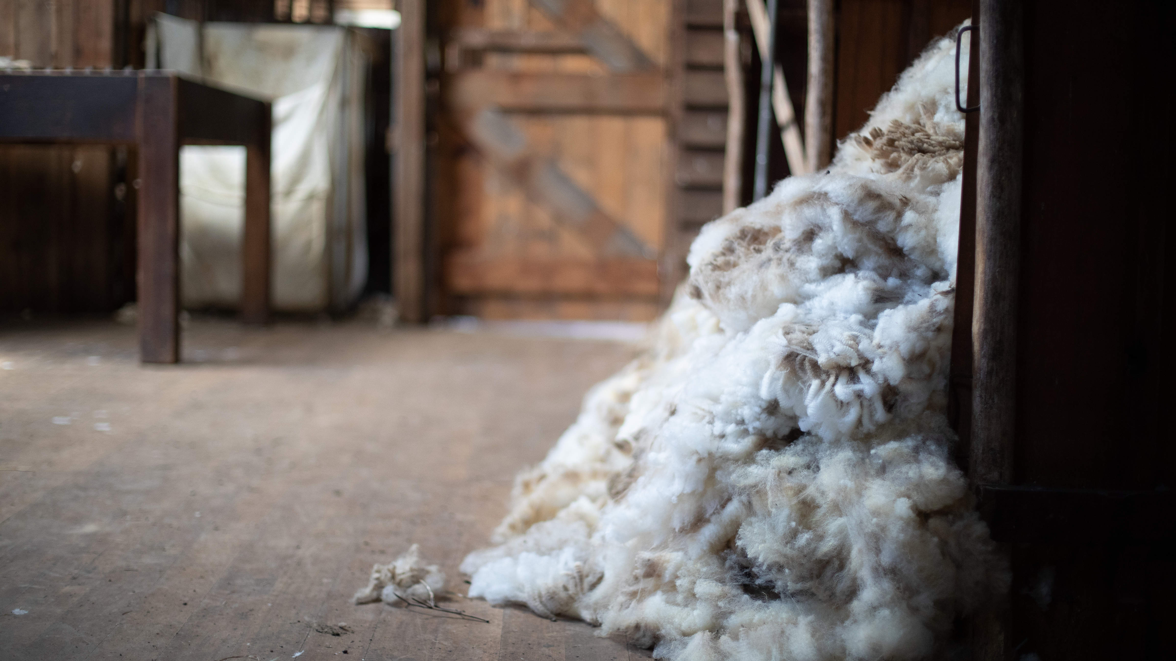 A timber floored room with a pile of raw wool in the foreground and a timber classing table in the background. Photo: Kieran Bradley.