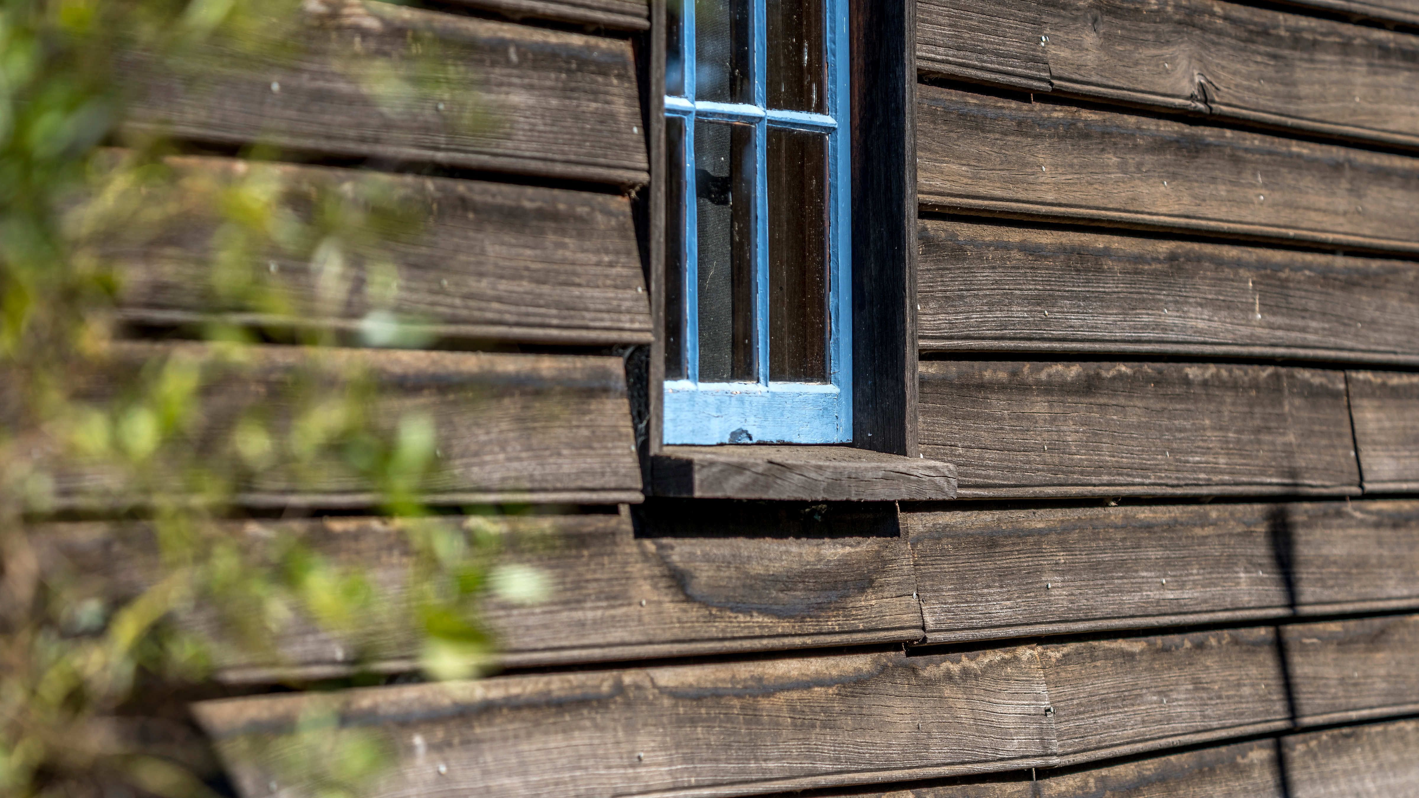 The exterior wall of a cottage consisting of horizontal timber weatherboards. There is a six paned blue window set into the wall and out of focus foliage in the foreground. Photo: Rob Burnett.