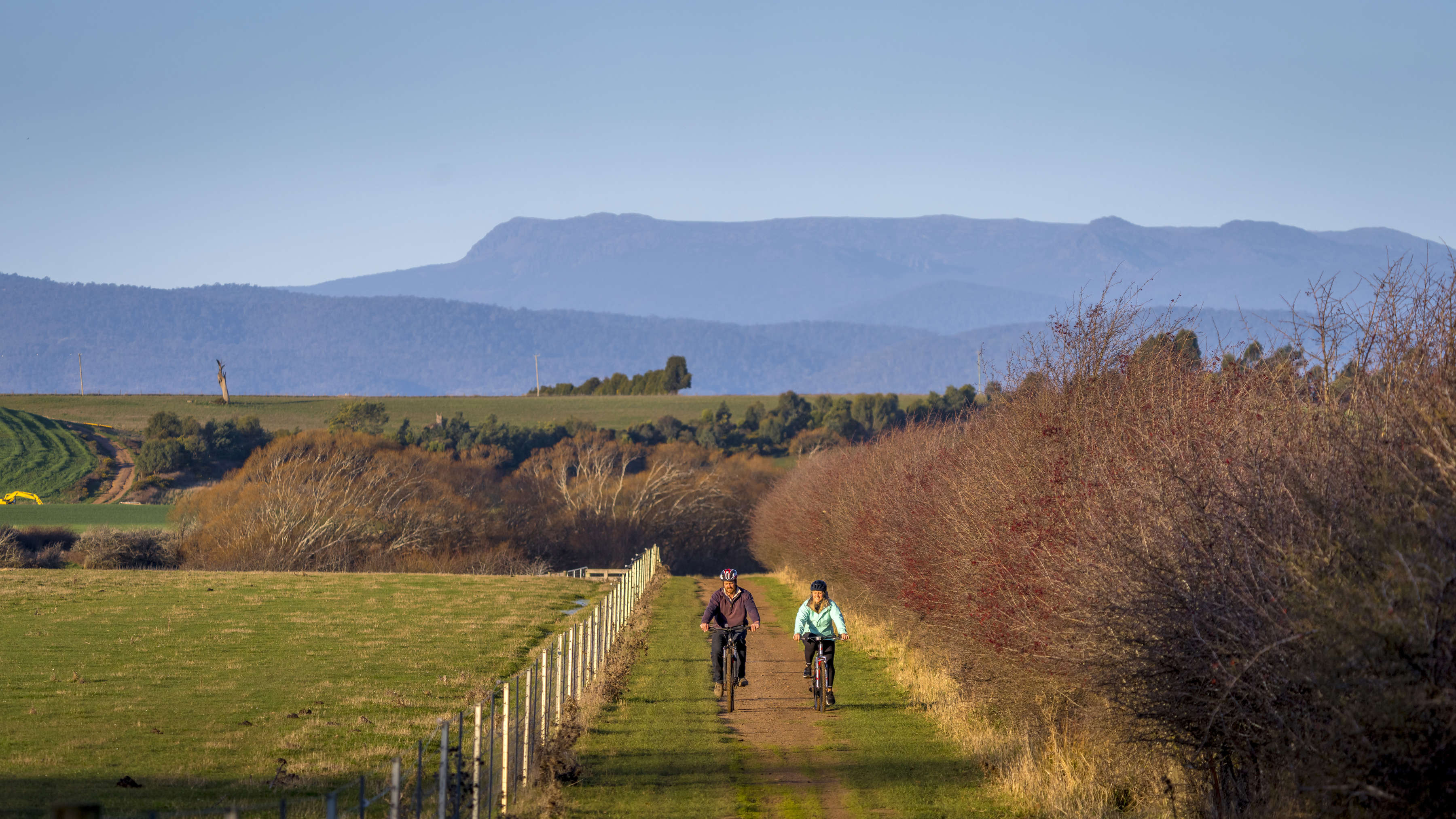 Two cyclists ride along the Convict Trail beside a hawthorn hedge. Rolling hills and Ben Lomond mountain are in the background. The hedgerow has red berries as the image was taken in Autumn. Photo: Rob Burnett.